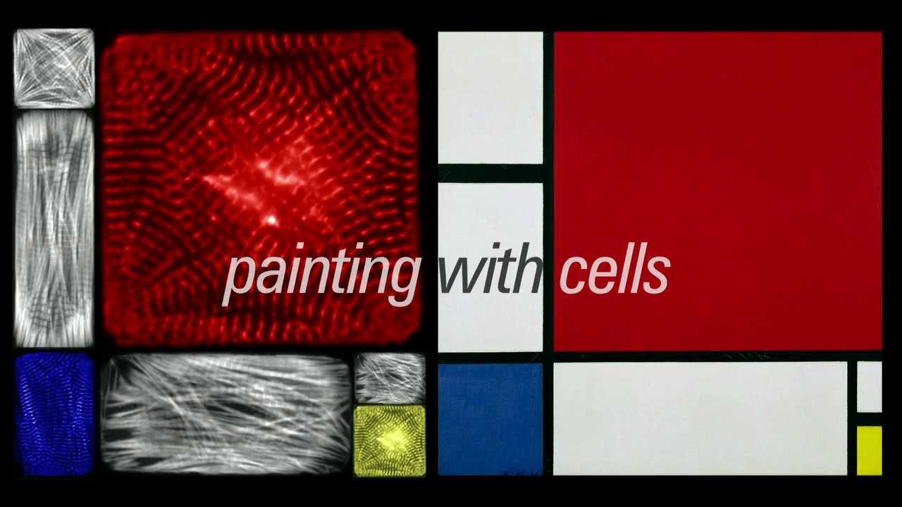 Painting with cells