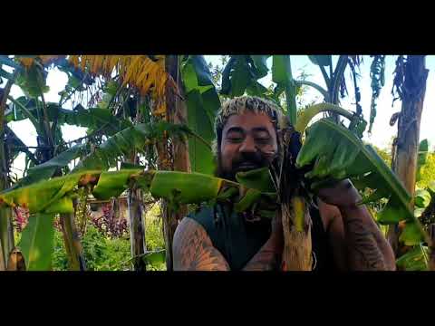 LauLau Siva - Junior Vailua