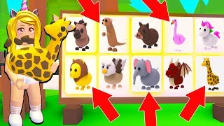 Pets To Adopt Me Roblox Wholefedorg - 