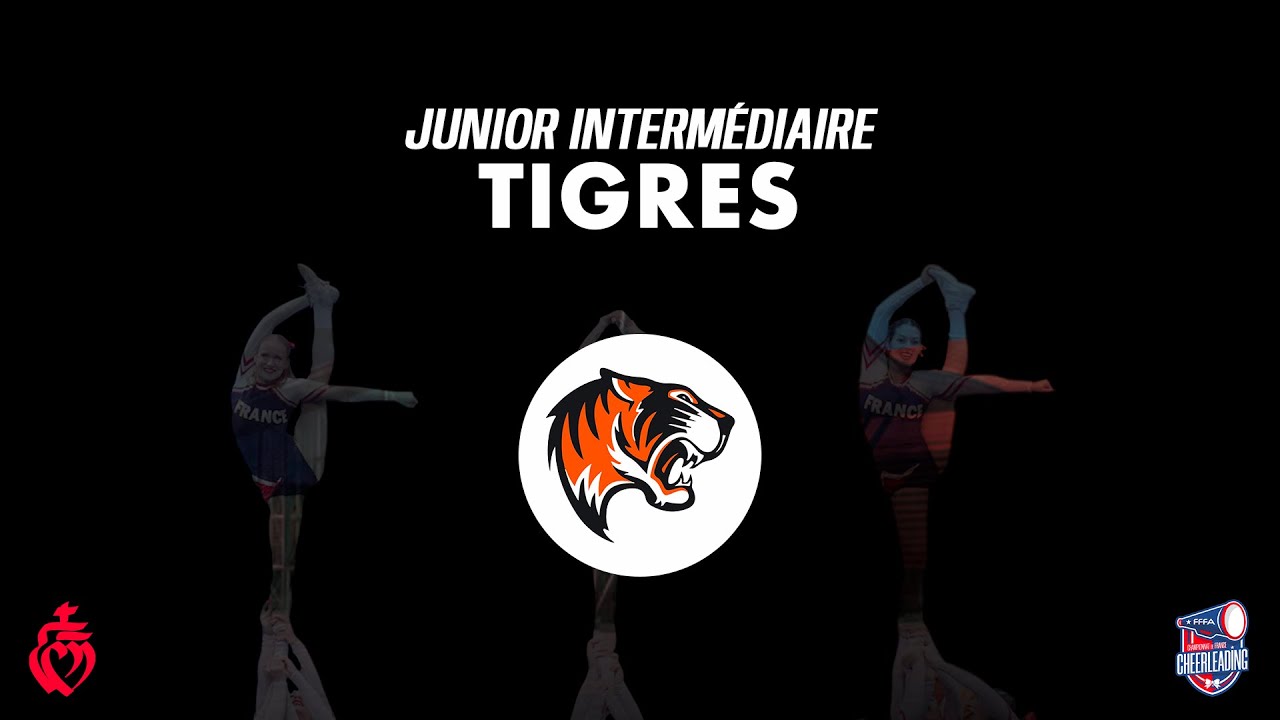 Wildcats — Finale Championnat de France 2025