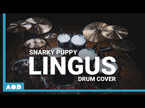 Lingus - Snarky Puppy | Drum Cover By Pascal Thielen