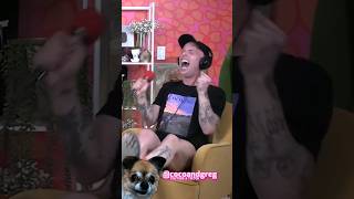 LANA DEL REY GETS CALLED OUT #trixieandkatya #trixiemattel #katyazamo #unhhhh #dragrace #shorts