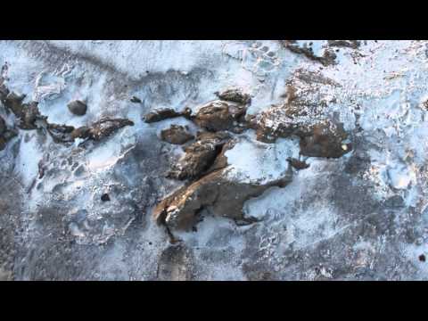 BP Disaster Six Year Anniversary ~ Part 1 Long Beach, MS