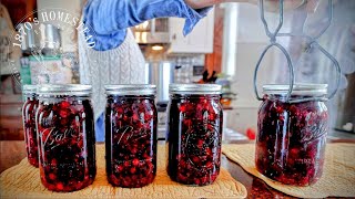 FREEZER to PANTRY Canning | Blueberry Pie Filling &  Strawberry Rhubarb Juice