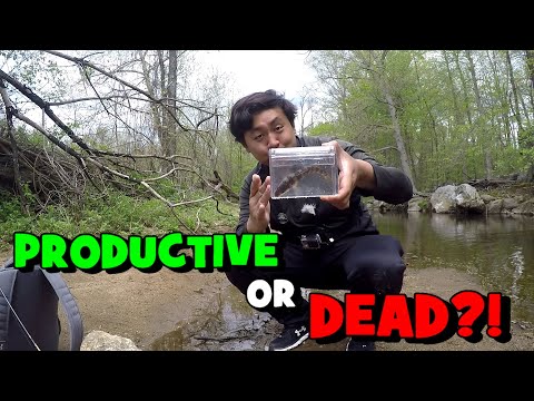 Fishing a CREEK that DRIED OFF Previously...!!! (Productive or Dead?!)