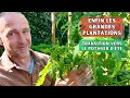 Plantation du potager d'été - Tomates & compagnie !