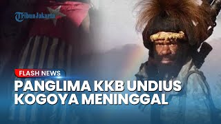Panglima KKB Intan Jaya Undius Kogoya Meninggal Dunia setelah Markasnya Dikuasai TNI 7 Hari
