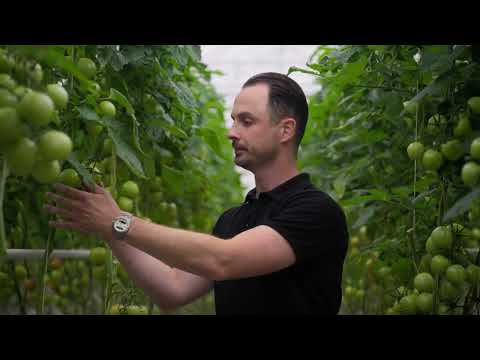 From Roots to Data The Breugem Horticulture Story