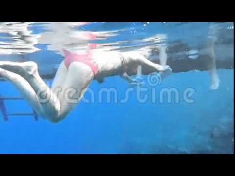 Girl In Bikini Snorkeling Stock Footage   Video  43093578