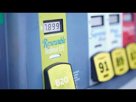 Oil prices fall as G7 agrees to release 100 million barrels of ...