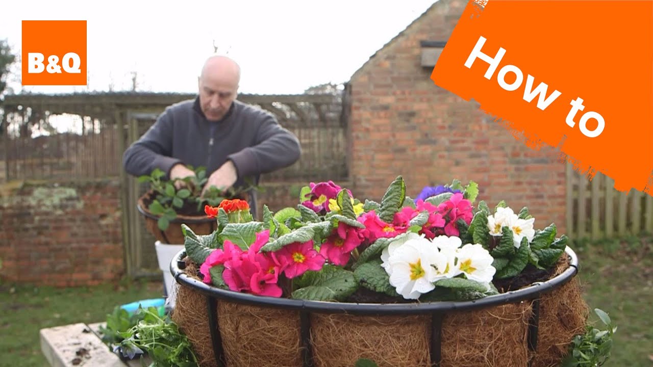 Watch video How to plant a hanging basket Now How to plant a hanging basket