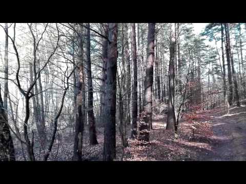 Półwysep w górnej części jeziora Kniewo (typowe miejsce biwakowania) (21.02.2016)