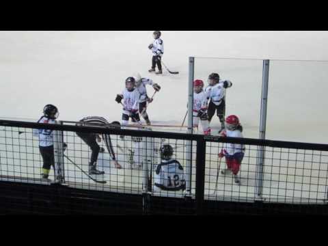 Partizan - Girls Serbia, hokej, U8, turnir "Miodrag Šišić Šile" 02.04.2017. Beograd