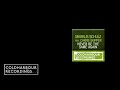 Markus Schulz feat Carrie Skipper - Never Be The Same Again | Coldharbour Club Mix