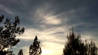 Spirit Sky Spirit Tree Feb. 3, 2015