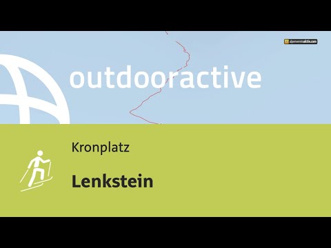 Lenkstein