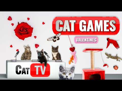 💗 Valentine’s Cat Games – Lizards, Bugs, Birds & Toys