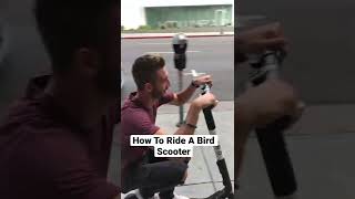 How To Ride A Bird Scooter #Shorts