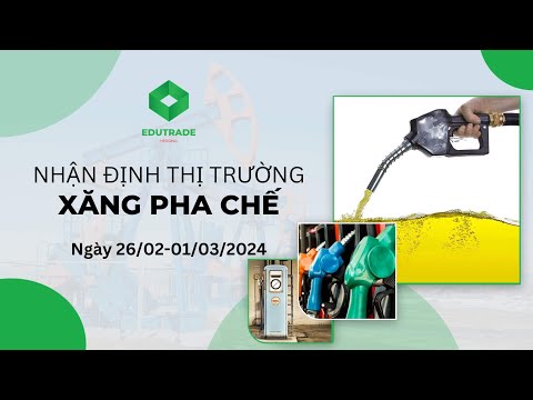 Nhận Định Thị Trường - Xăng pha chế (Ngày 26/02-01/03/2024)