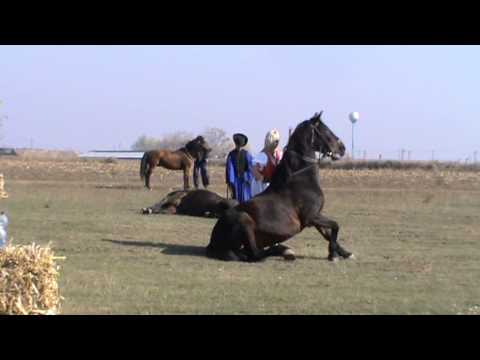 Bárándi Nemzeti Családi Lovasnap