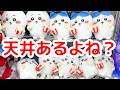 Chiikawa The Result Of Trying To Win The Let S Eat Together Popcorn Plushie On Launch Day
