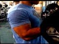 Form On Bicep Curls Hodgetwins