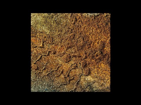 PREMIERE: The Golden Bug and The Liminanas - Variations Sur 3 Bancs [Kompakt]