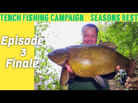 Tench fishing - Gravel Pit Campaign MY Season Best Tench! (Video 228)