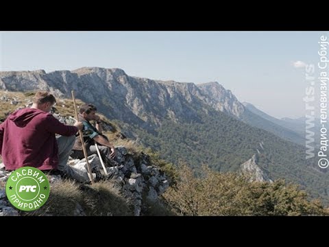 Sasvim prirodno: Čuvari Suve planine (Jovan Memedović)