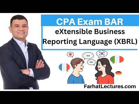 Financial Risks and Mitigation CPA Exam Business Analysis and Reporting BAR