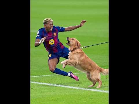 100% Players getting cooked | Humiliated 😂