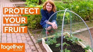 How to Protect Your Fruit From Birds and Critters | The Great British Garden Revival