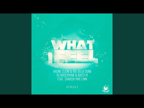 What I Feel (feat. Sharon May Linn) (Addict DJs Remix)