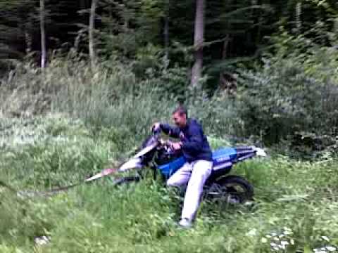 alex si marius paniova