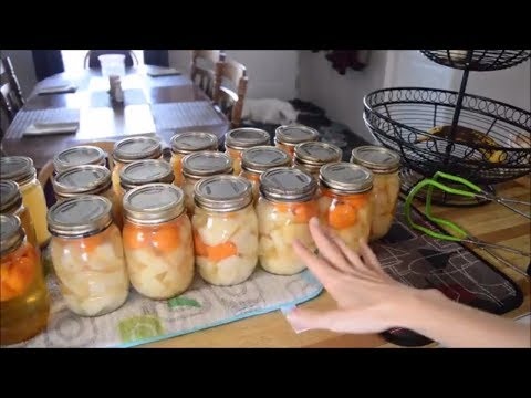 download lagu mp3 mp4 Vegan Canning, download lagu Vegan Canning gratis, unduh video klip Vegan Canning