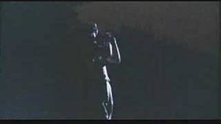 patrick wolf - tristan