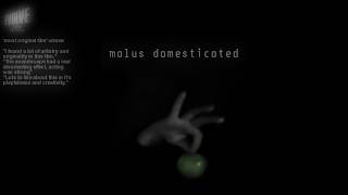Malus Domesticated