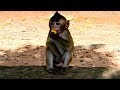 Finally Lola Get And Eating Fruits Baby Lola So Hungry And Happy Eating Fruit