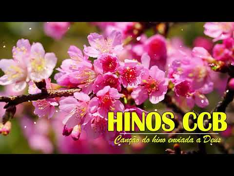 Hinos CCB  - João e Wilson Lindos Hinos do Hinário 4!