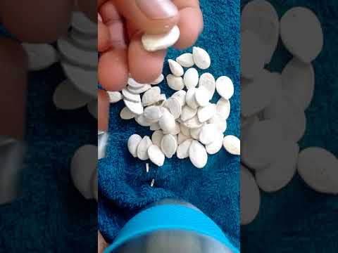 How to Remove Pumpkin Seeds Shell