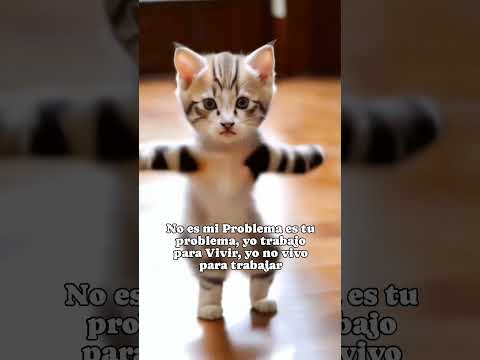 No es mi problema es tu problema, yo trabajo para vivir, yo no vivo pa trabajar 😂🤣😂🤣