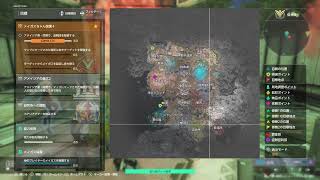 のんびり配信！ ゴトー[シンギュラリティ エコーオブエイダ]