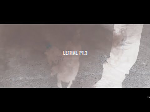 Neeko Huncho - Lethal Pt 3
