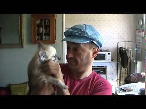 Ma maison de Anny cordy et bourvil