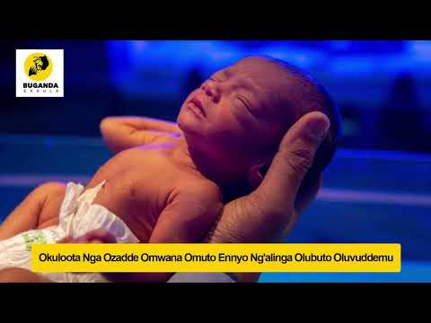 Okuloota Nga Ozadde Omwana Omuto Ennyo Ng'alinga Olubuto Oluvuddemu - Ebirooto Namakulu Gaabyo