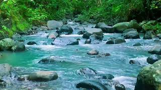 Download lagu Terapi Suara Alam: Aliran Sungai untuk Mengurangi Kecemasan, Stres & Insomnia mp3