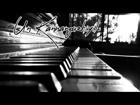 உன், கண்ணங்குழியில் ( UN KANNANGUZHIYIL) Cover by Nicola De Silva