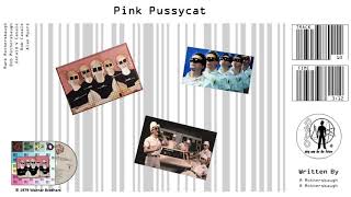 Devo / Duty Now for the Future / Pink Pussycat  (Audio)
