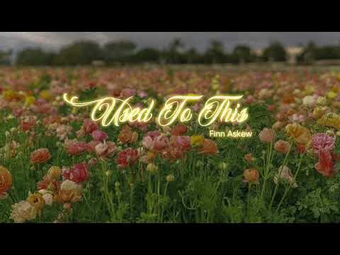 Vietsub | Used To This - Finn Askew | Lyrics Video