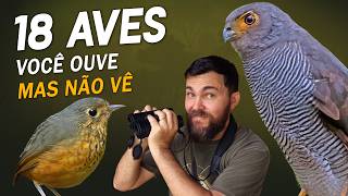 Miniatura do vídeo